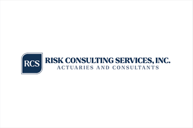 Risk Consulting Services logo