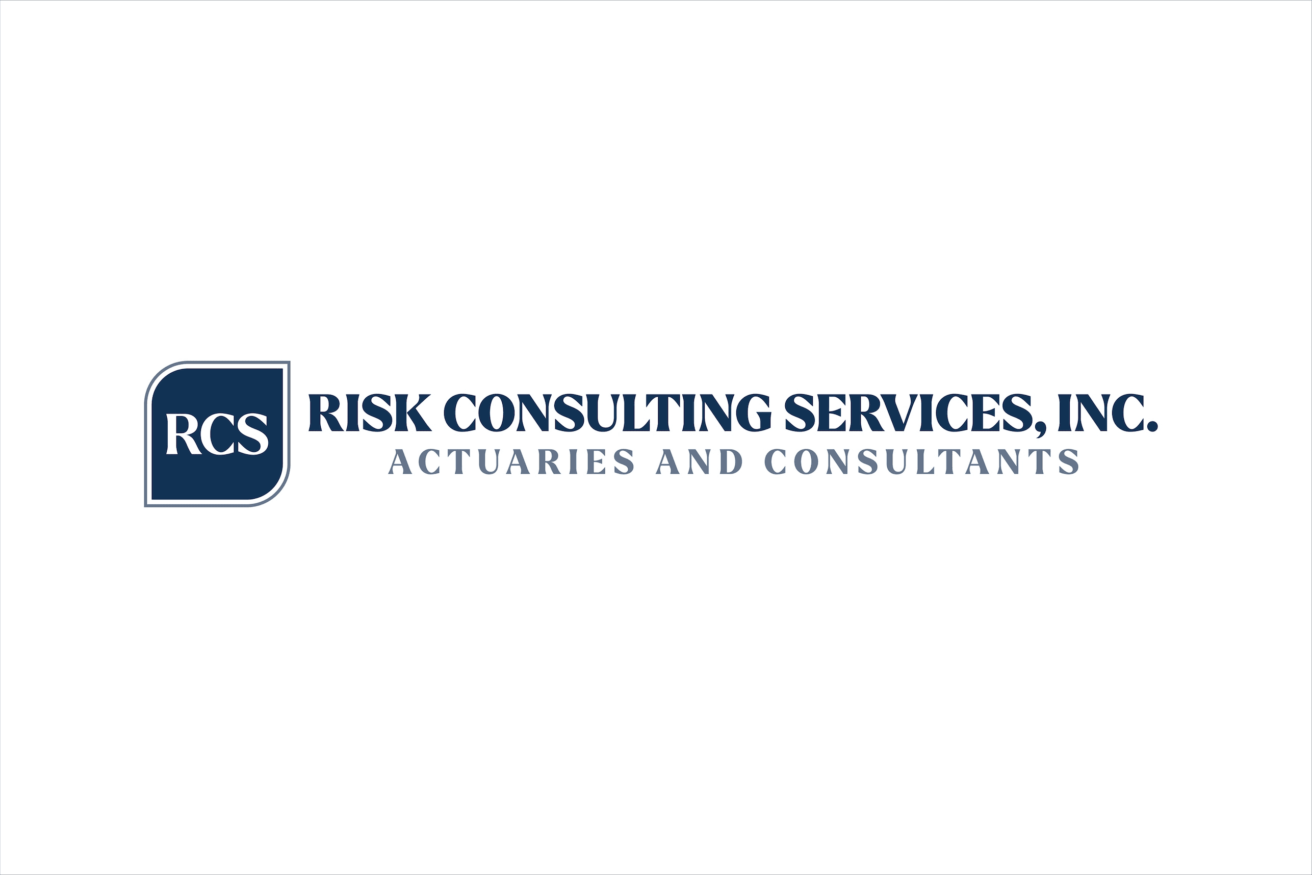 Risk Consulting Services website